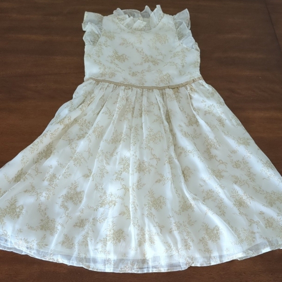 Janie and Jack Other - Janie and Jack Girl's Cream Color Shimmer Floral Chiffon Dress girls size 7 NNT